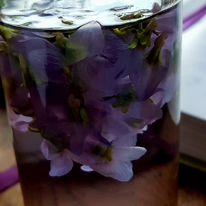 Sweet Violet Vodka